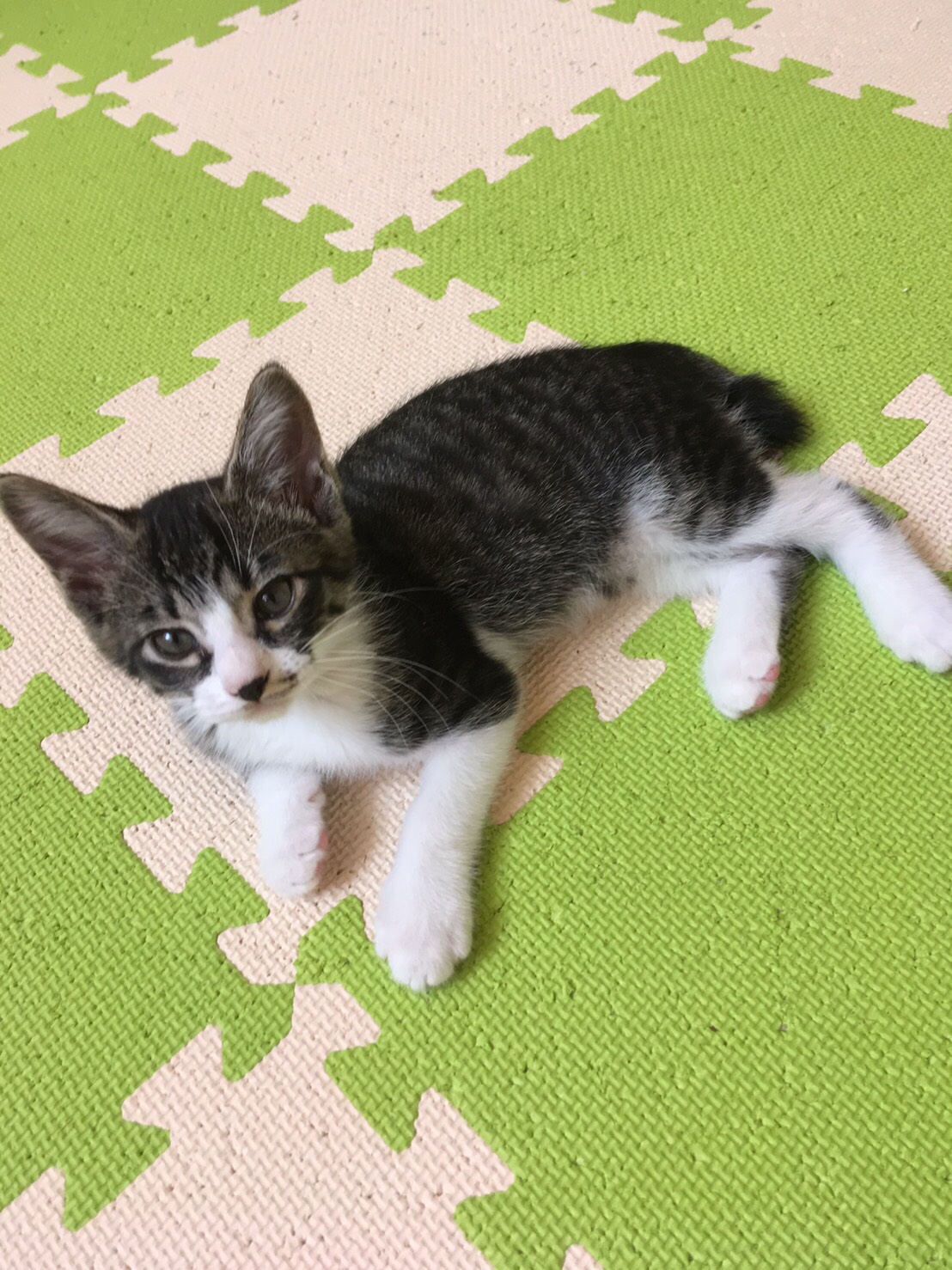 ばなな
