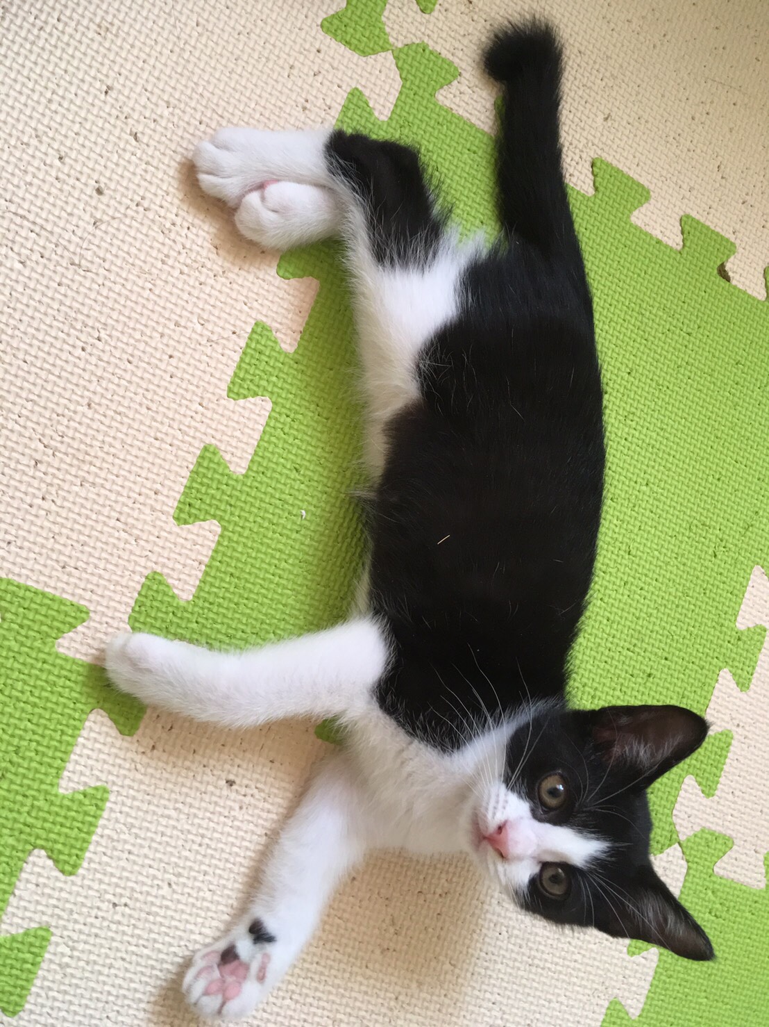 みかん
