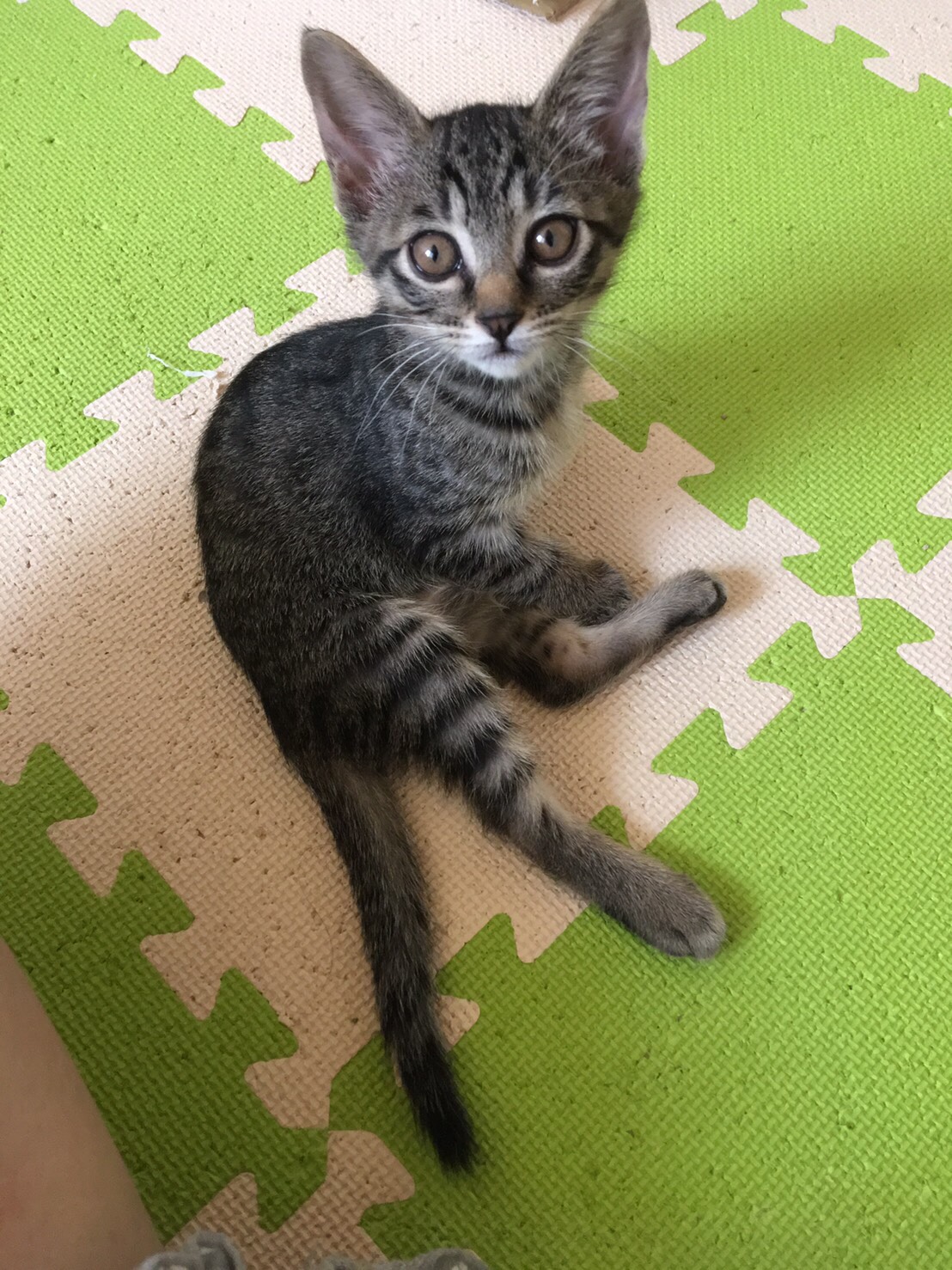 れもん