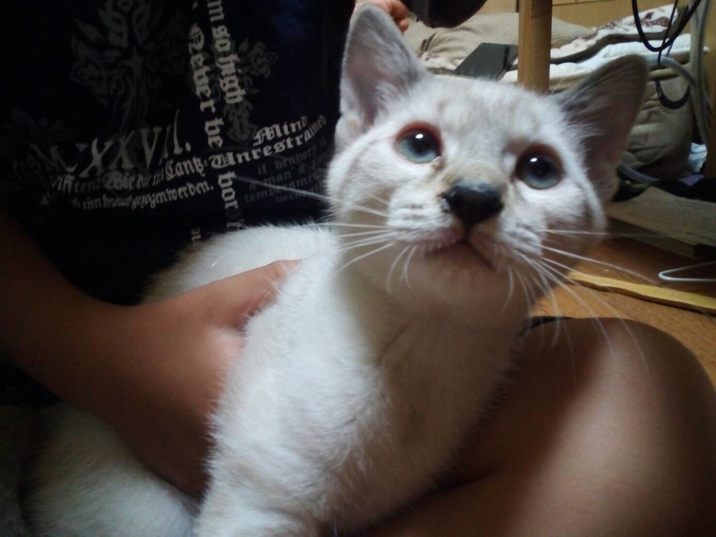 ゆず